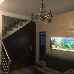 Bucharest Center Villa